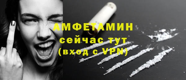 твердый Михайлов