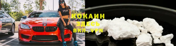 твердый Михайлов