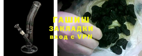 твердый Михайлов