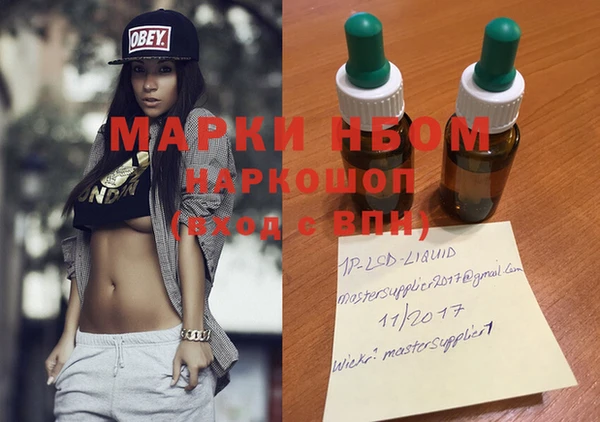твердый Михайлов