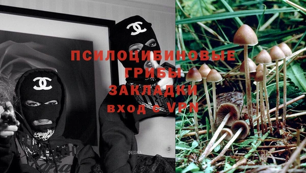 ешки Михайловка