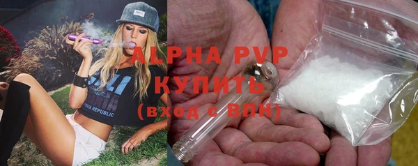 твердый Михайлов