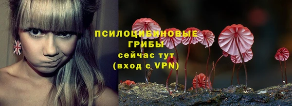 PSILOCYBIN Медногорск