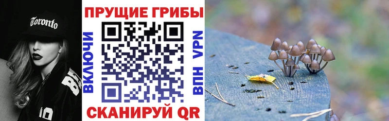 Псилоцибиновые грибы мицелий  Очёр 